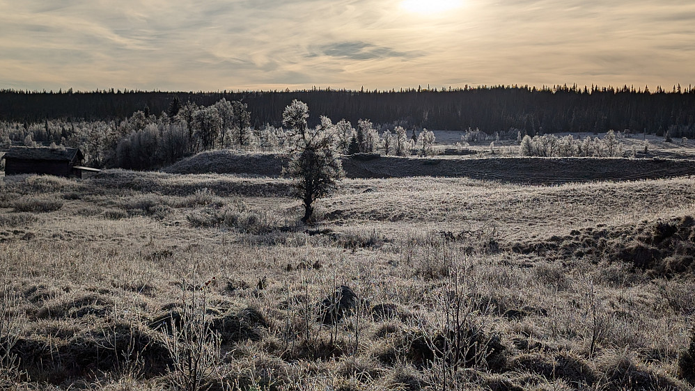 Rimfrost ved Ormtjønnet