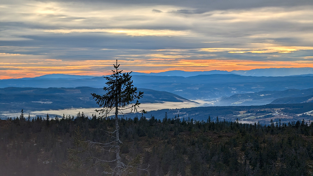 Utsikt fra Krokvassfjellet 