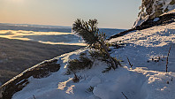 Atomsilda_20241128_67489e6429ec3.jpg
