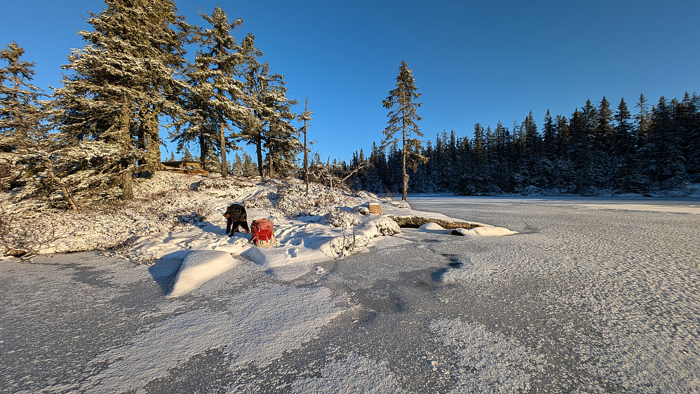 Vestre Ormtjern 