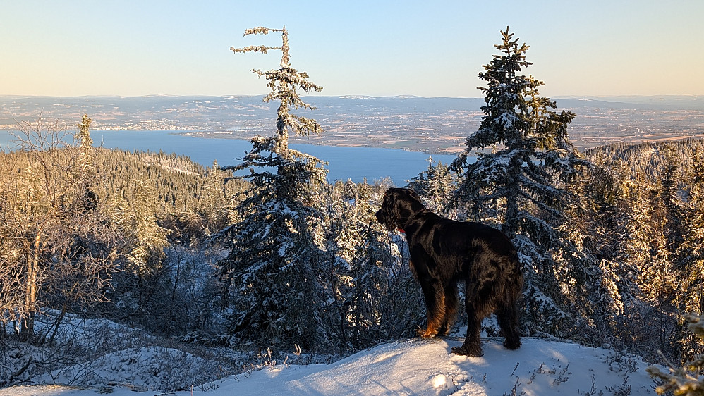 På Hervenberget 