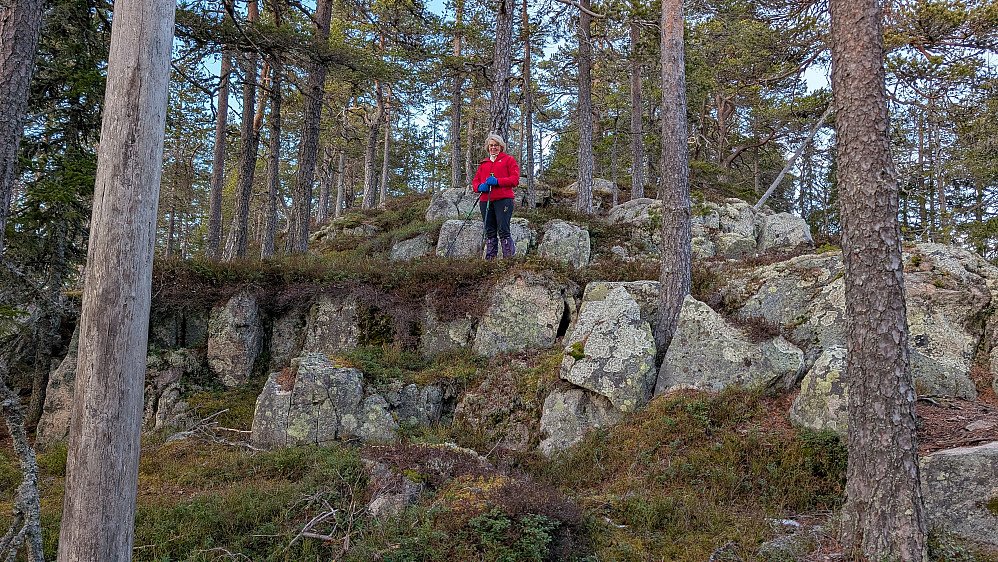 Bygdeborgen...fra sør