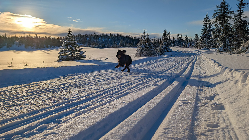 Embla i full fart