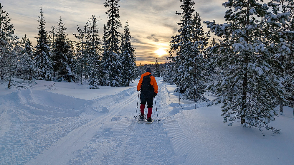 Rett etter start. Enkel start noen hundre meter før vi tok av løypa