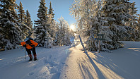 Atomsilda_20250112_678407fa3d53e.jpg