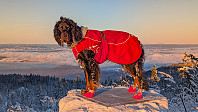 Atomsilda_20250112_678407fedeee0.jpg