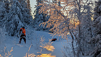 Atomsilda_20250112_678408001b44c.jpg