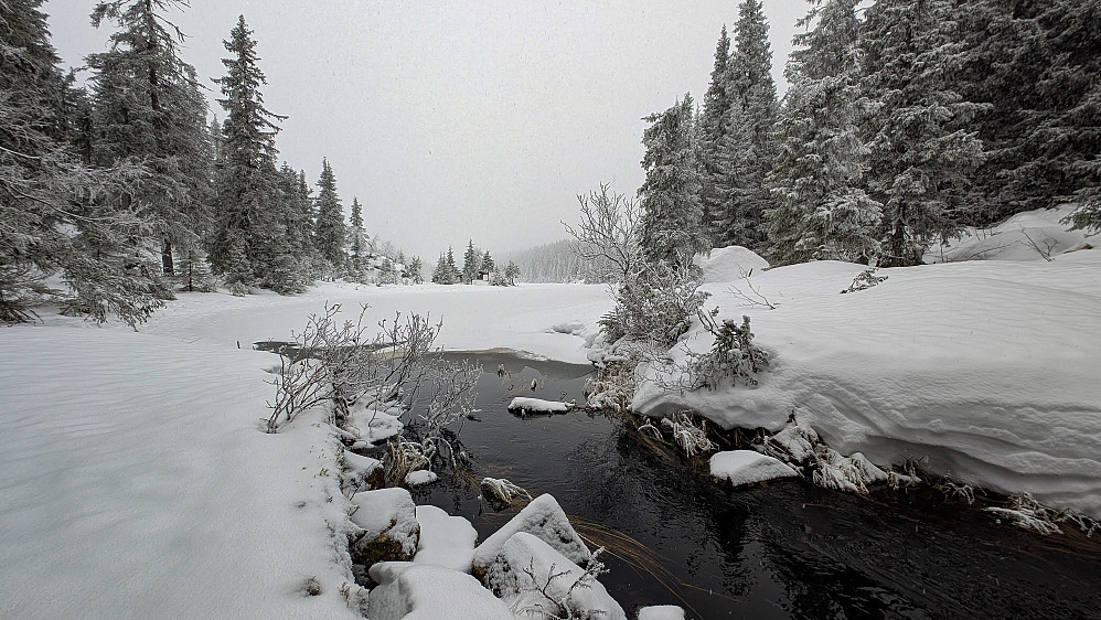 I Svartdalen. Vi skimter hytta på odden