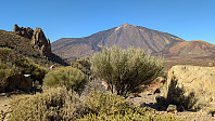 Atomsilda_20250204_67a2616c85d91.jpg
