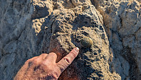 Atomsilda_20250209_67a8cfbb676c0.jpg