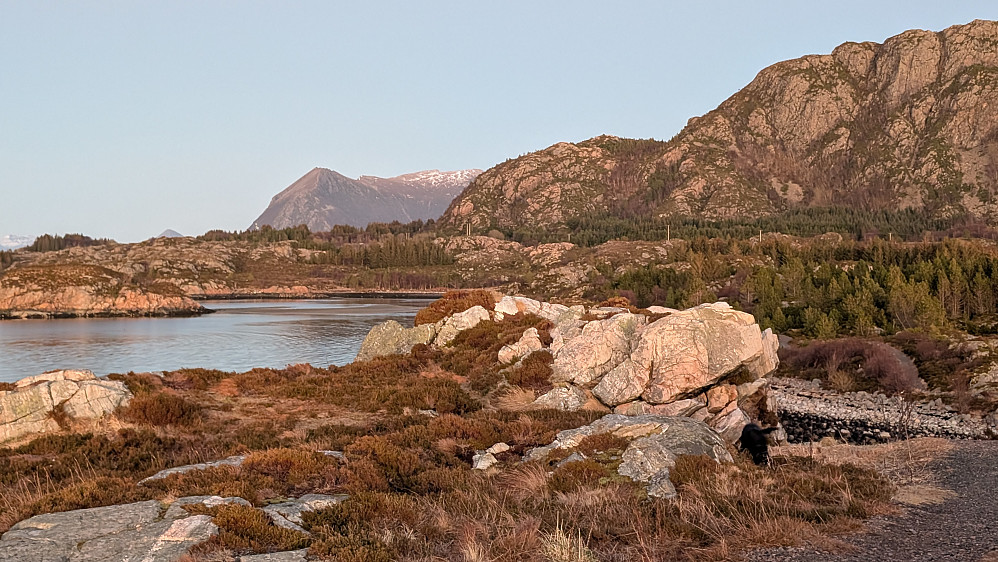Rørsethornet langt bakenfor 