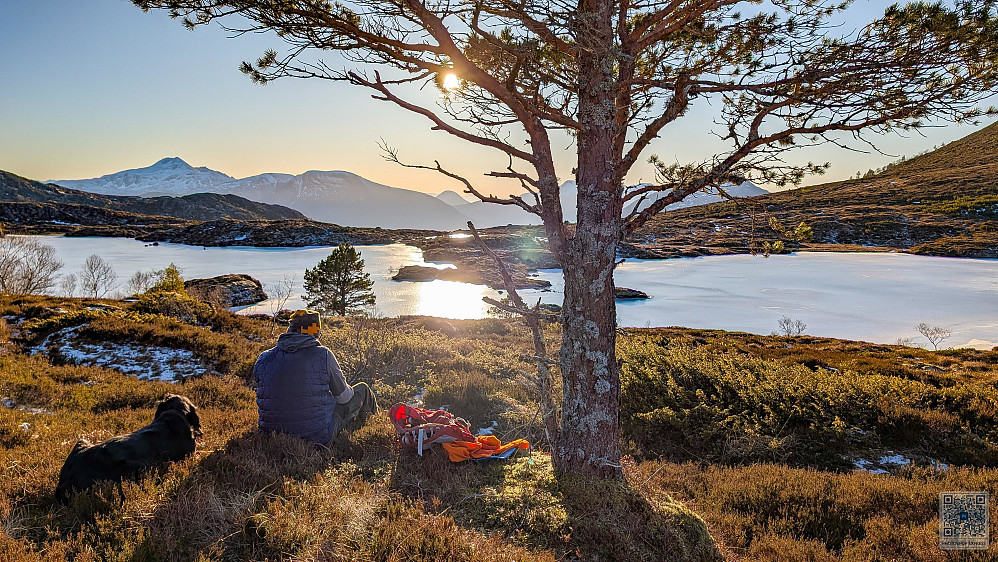 Ved Lomtjønnet