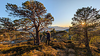 Atomsilda_20250213_67ae5134d147c.jpg