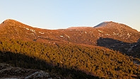 Atomsilda_20250213_67ae5137815e1.jpg