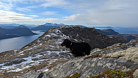 Atomsilda_20250214_67af7b55a01a9.jpg