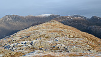 Atomsilda_20250214_67af7b6d4dd89.jpg