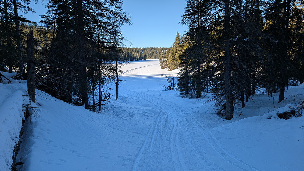 Sørenden av Fisklausen