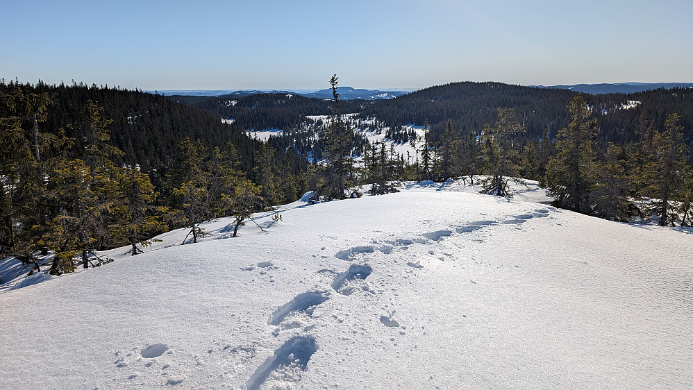 På Helligdalskampen 