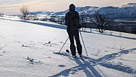 Atomsilda_20250219_67b6232ded7e2.jpg