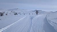 Atomsilda_20250219_67b62331b4fad.jpg