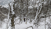Atomsilda_20250223_67bb61999a6d1.jpg
