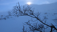 Atomsilda_20250223_67bb64fa493d2.jpg