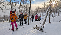 Atomsilda_20250223_67bb6517525fa.jpg