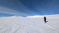 Atomsilda_20250228_67c203eebf7cb.jpg