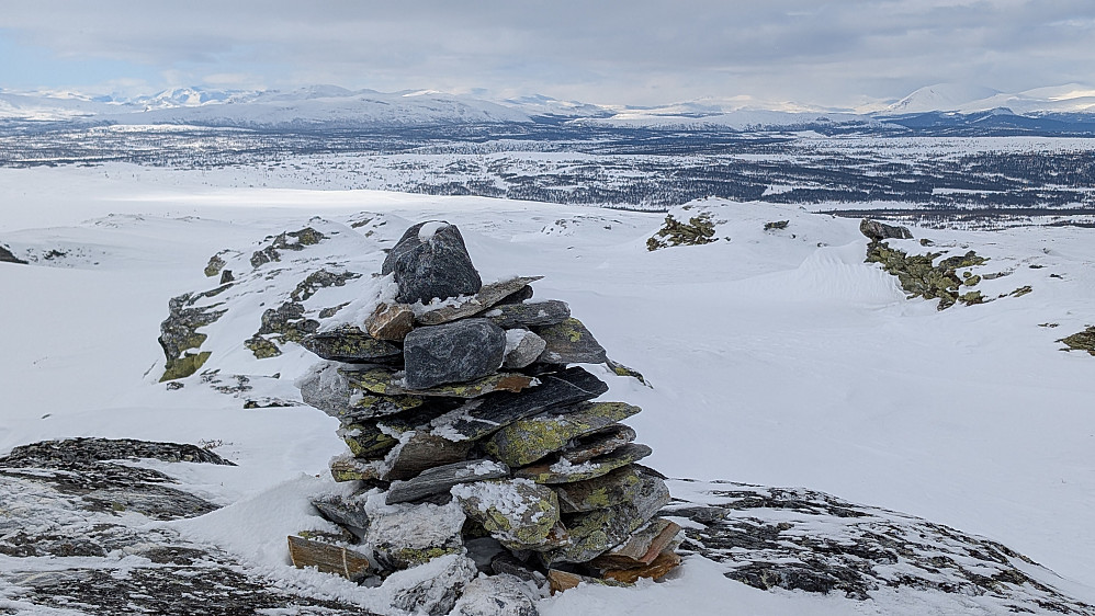 Gråkampen 