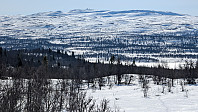 Atomsilda_20250408_67f530af1ee31.jpg