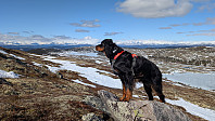 Atomsilda_20250414_67fd2b3cecaf7.jpg