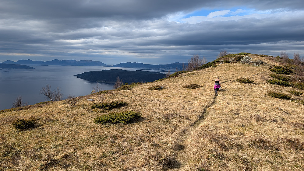 Mot toppen Skåla 