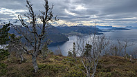 Atomsilda_20250416_67ffef35a0d13.jpg