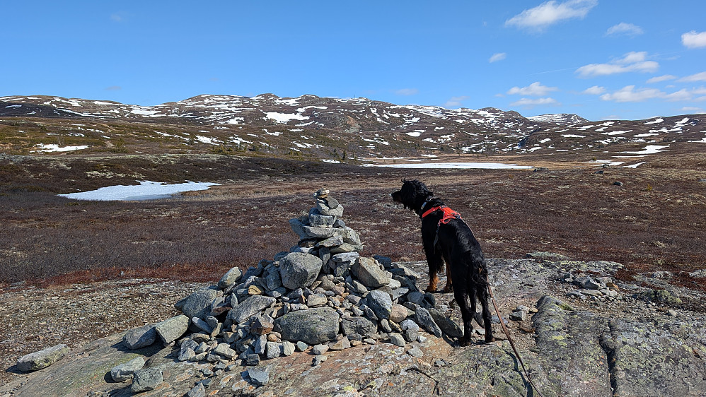 Vår i fjellet. Herlig!! 