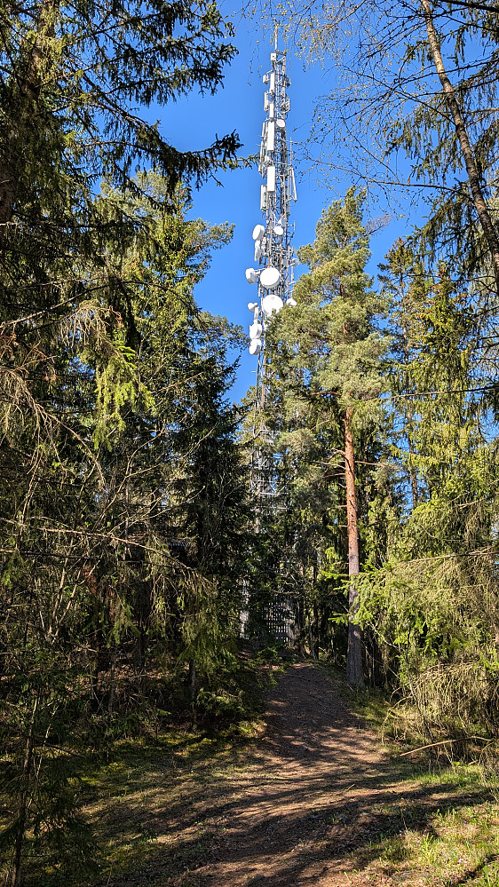 Eiksberget trig punkt