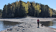 Atomsilda_20250427_680e33c025ecc.jpg