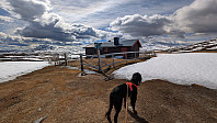 Atomsilda_20250430_68125bd46d2a5.jpg