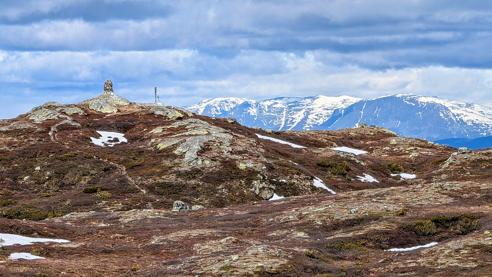 Flotte Blåfjell med Skogshorn ? langt bakenfor 