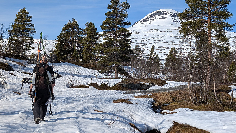Noe av veien var det snø på...men masse bare partier.