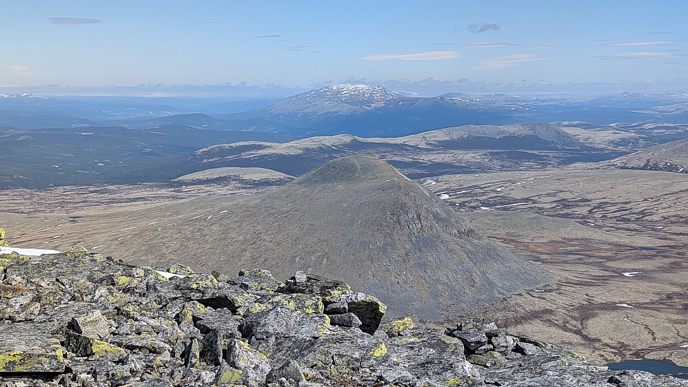 På Spisskletten 1690 moh.Veslesølnkletten midt i bildet. Rødalshøa i Tynset laaangt bak?