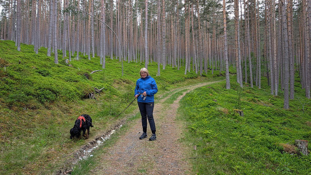 Flott terreng...frodig, friskt og grønt i skogen.
