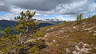Atomsilda_20250601_683c675b1fd97.jpg