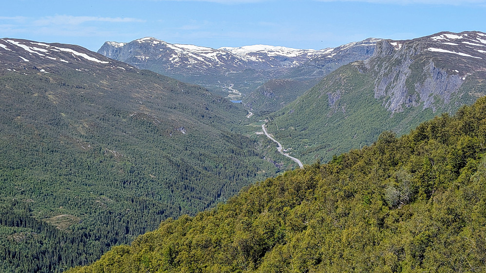 Sommer i dalen 