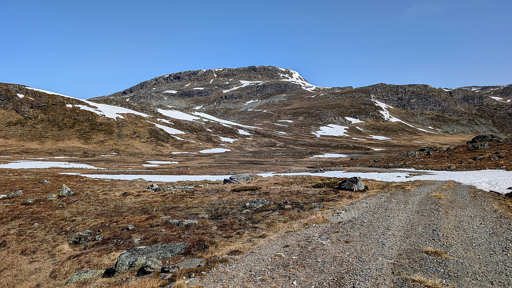 Fortsatt svært sommerlig opp mot Hundesteinsegge....men til høyre for toppen ser man hva som venter...