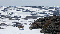 Atomsilda_20250613_684c8e72e5008.jpg
