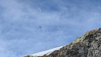 Atomsilda_20250613_684c8eb52a403.jpg