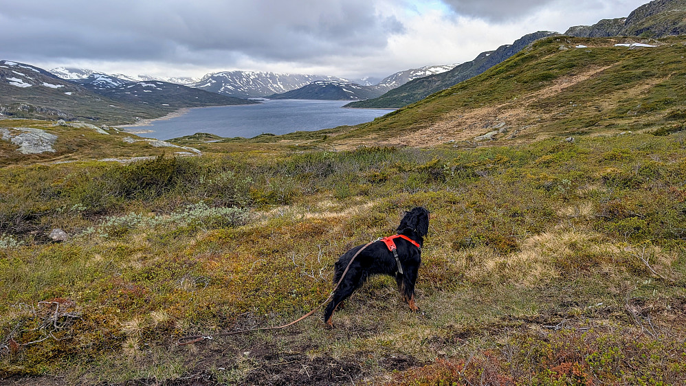 Det er laaaangt inn til enden av Olefjorden.