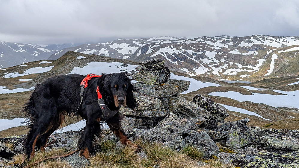 Kaldt på Nord for Rødningstjernet