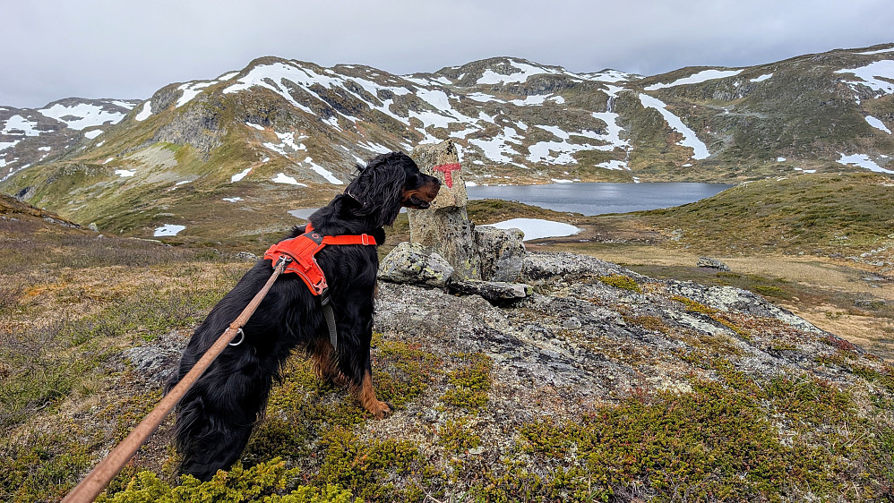 Vi nærmer oss Systerbotten....Systerbottjernet.