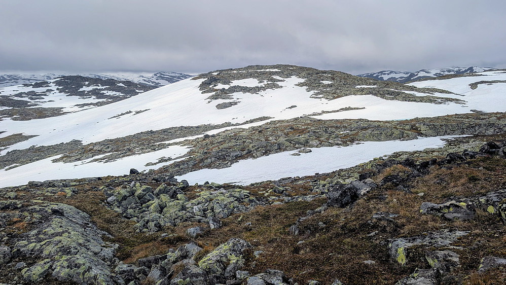 Skjeldrane 1499 moh 